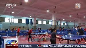 2026国际足联世界杯 乒乓球台分室内外吗